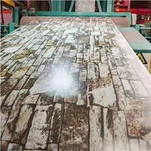 Bobina de acero patrón